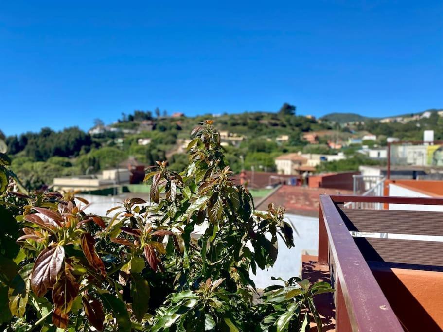 Cozy Apartament La Esperanza  Dış mekan fotoğraf